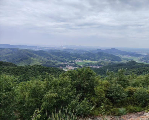 QQ_1722559837354.png QQ_1722559837354.png