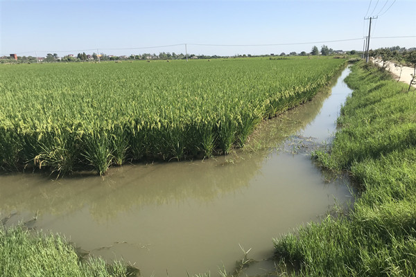 圖片6.jpg 圖片6.jpg