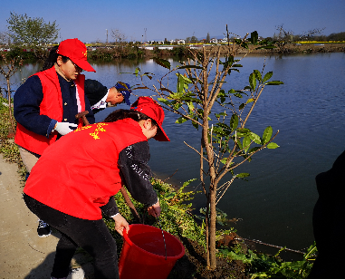 圖片4.png 圖片4.png