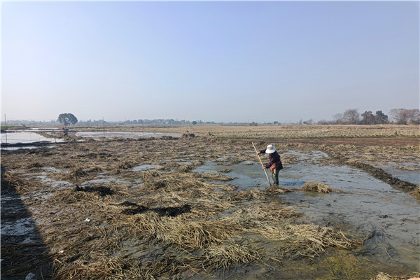 圖片18.png 圖片18.png