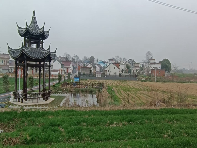 圖片1.png 圖片1.png